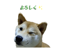 598958982