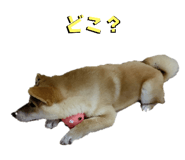 598958987