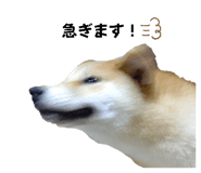 598958988