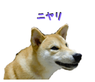 598958991