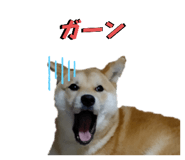 598958994