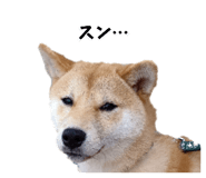 598958999