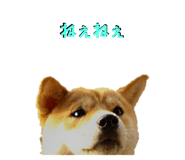 598959005