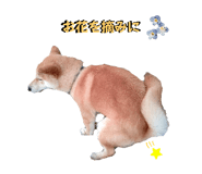 598959006