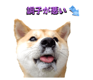 598959007