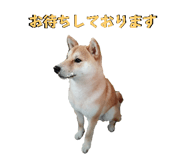598959009