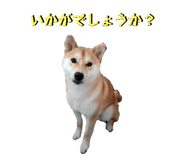 598959010
