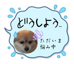 599045098