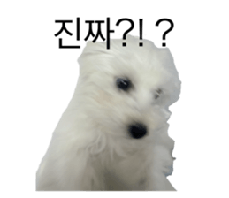 599080576