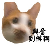 599090802