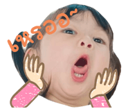 599116883