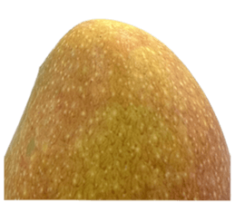 599190062