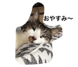 599302175