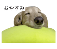 599307769