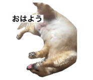 599307772