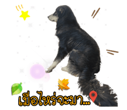 599374674
