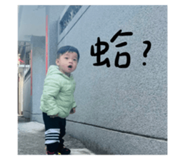 599377508
