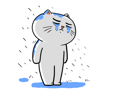 KIBO CAT รูปที่ 6