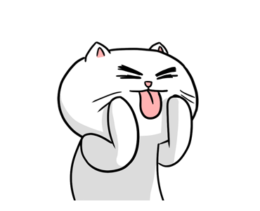 KIBO CAT รูปที่ 8