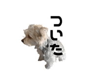 599432612