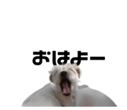 599432613