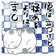 599445116