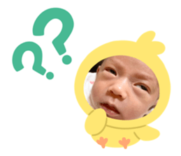 599446557