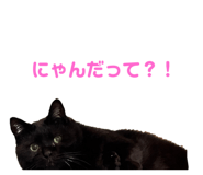 599458010