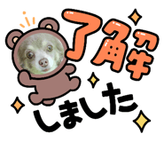 599492814