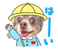 599492820