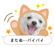 599492835
