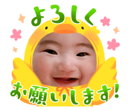 599505828