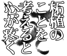 599521667