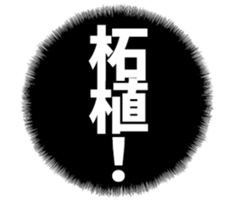 599521684