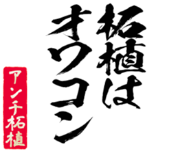 599521699