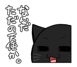 5996181