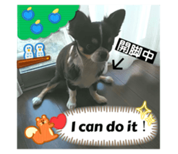 599706535