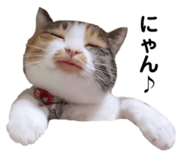 599715640