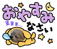 599757572