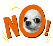 599757581