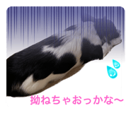 599758639