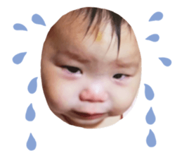 599817443