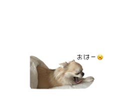599853536