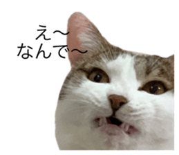 599859133