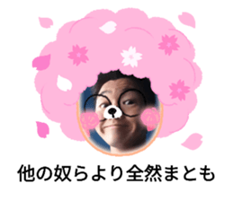 599871545