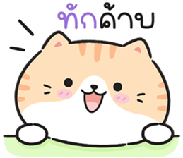 599884998