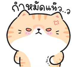 599885012