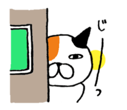 5999251