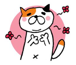 5999255