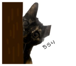 599996647
